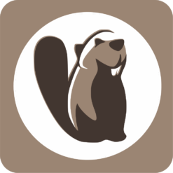 Dbeaver 資料庫管理工具