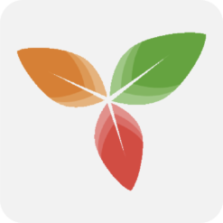 Trilium Notes 筆記工具